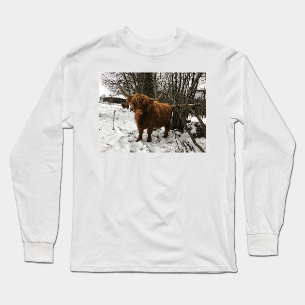 Scottish Highland Cattle Cow 2157 Long Sleeve T-Shirt by SaarelaHighland